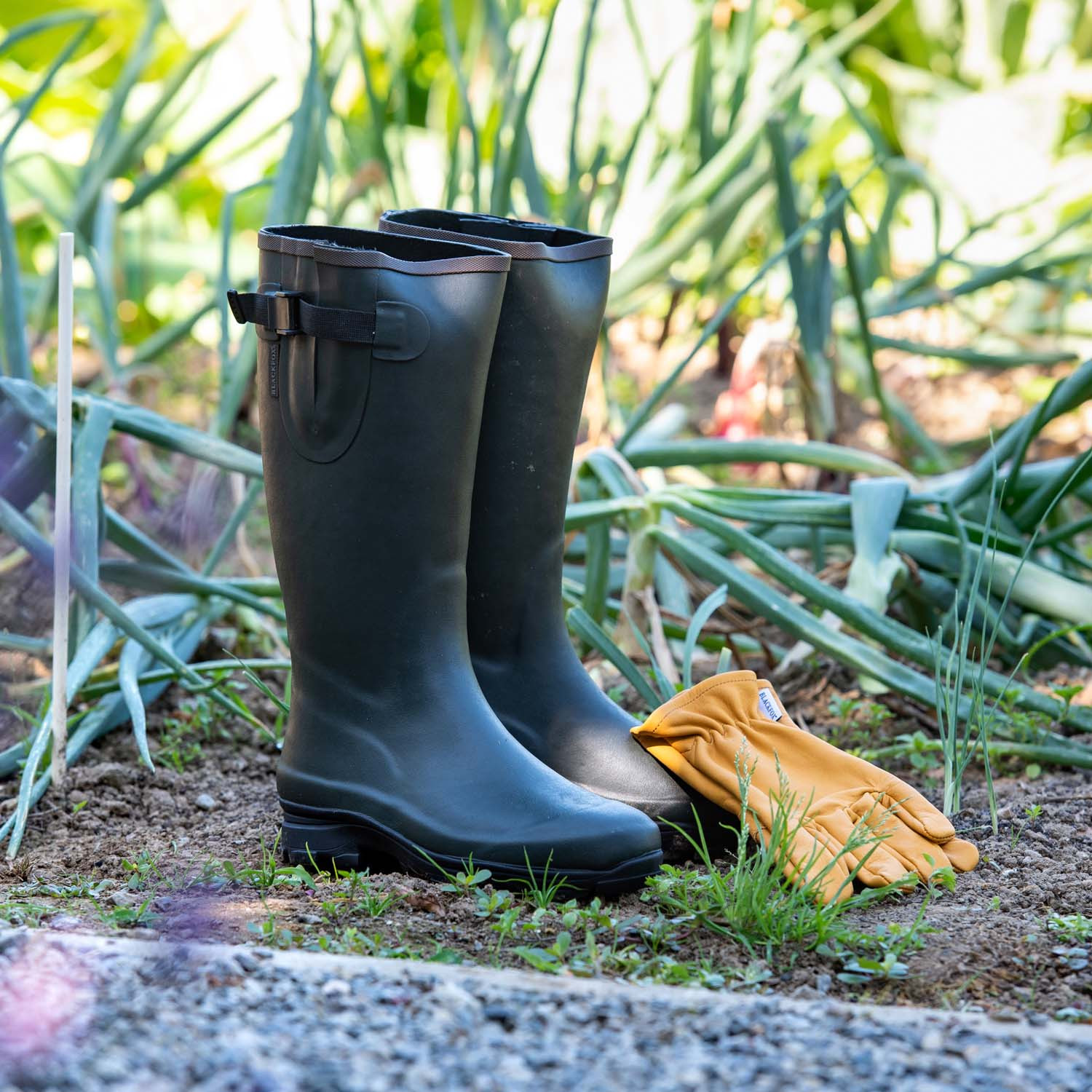 Bottes blackfox shop