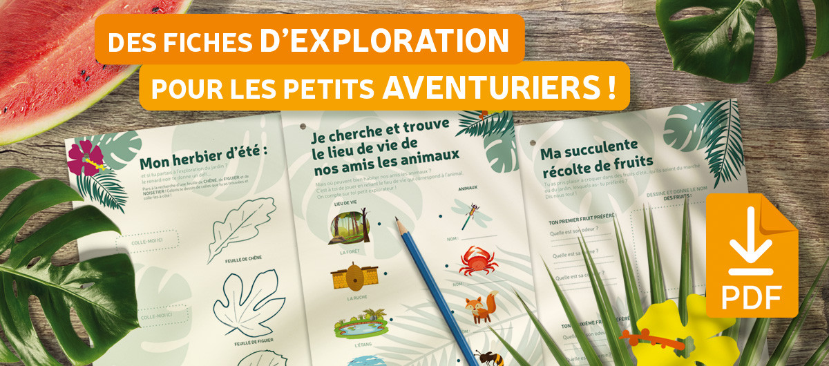 visuel newsletter freebie cahier vacances