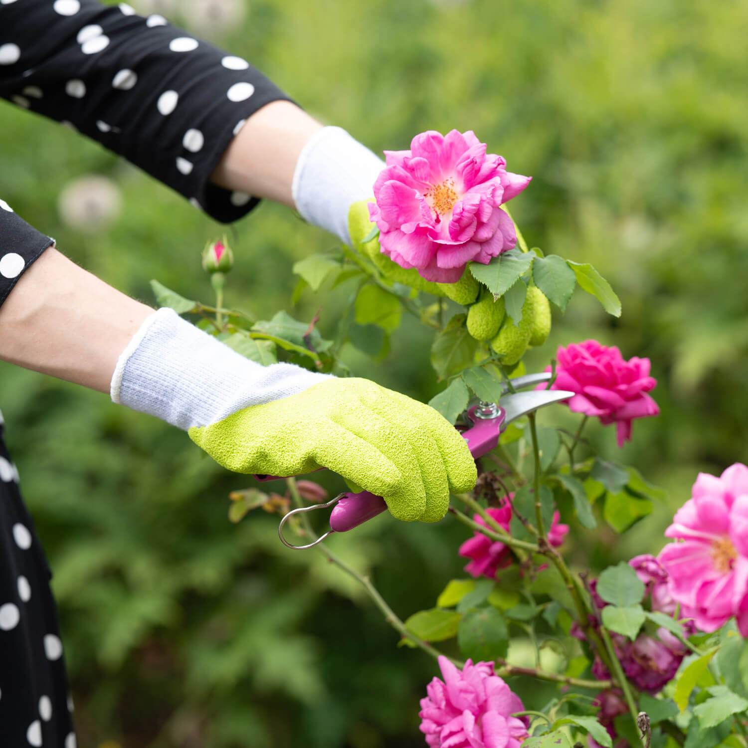 Gants de jardin rosier vert