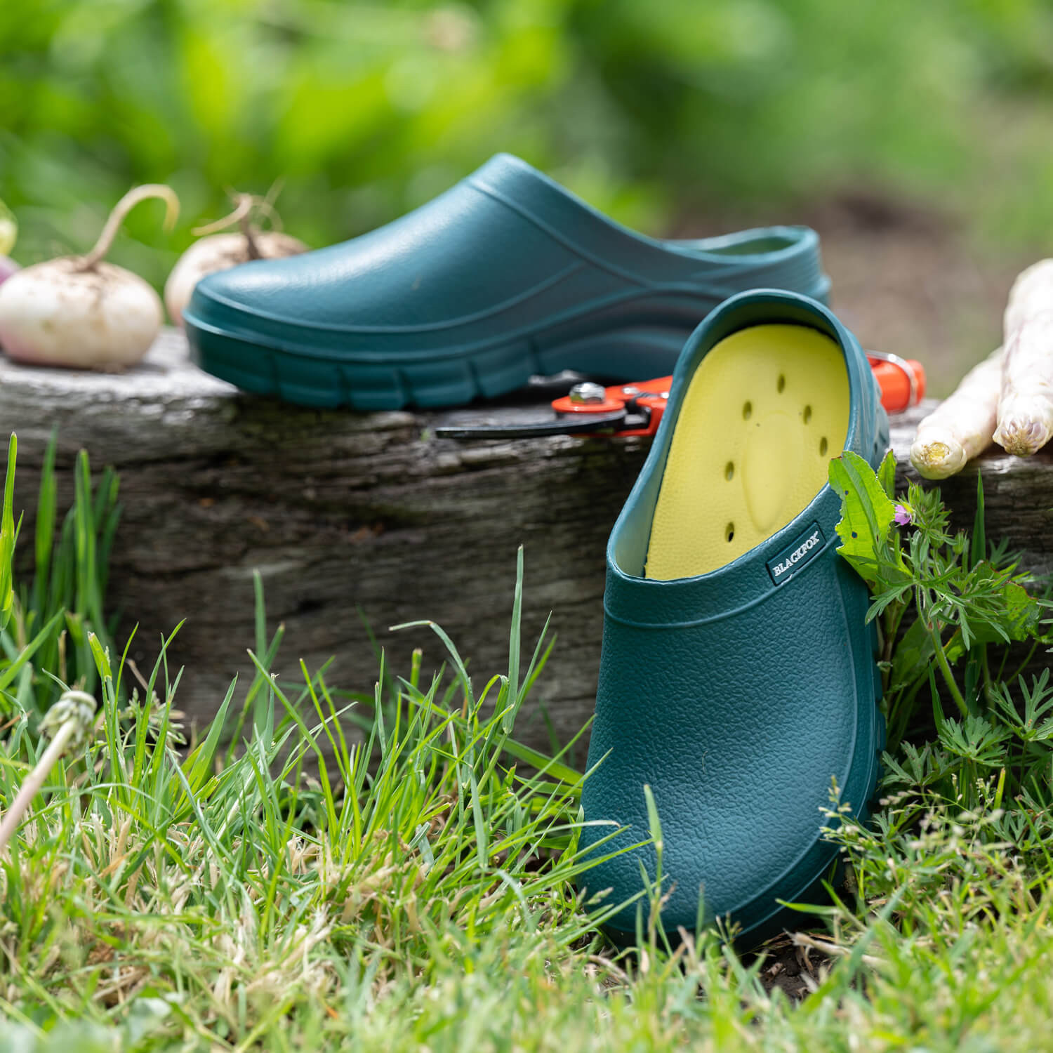 Blackfox clog deals