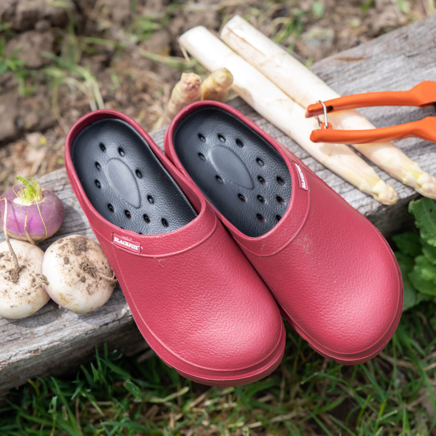 Blackfox crocs sales
