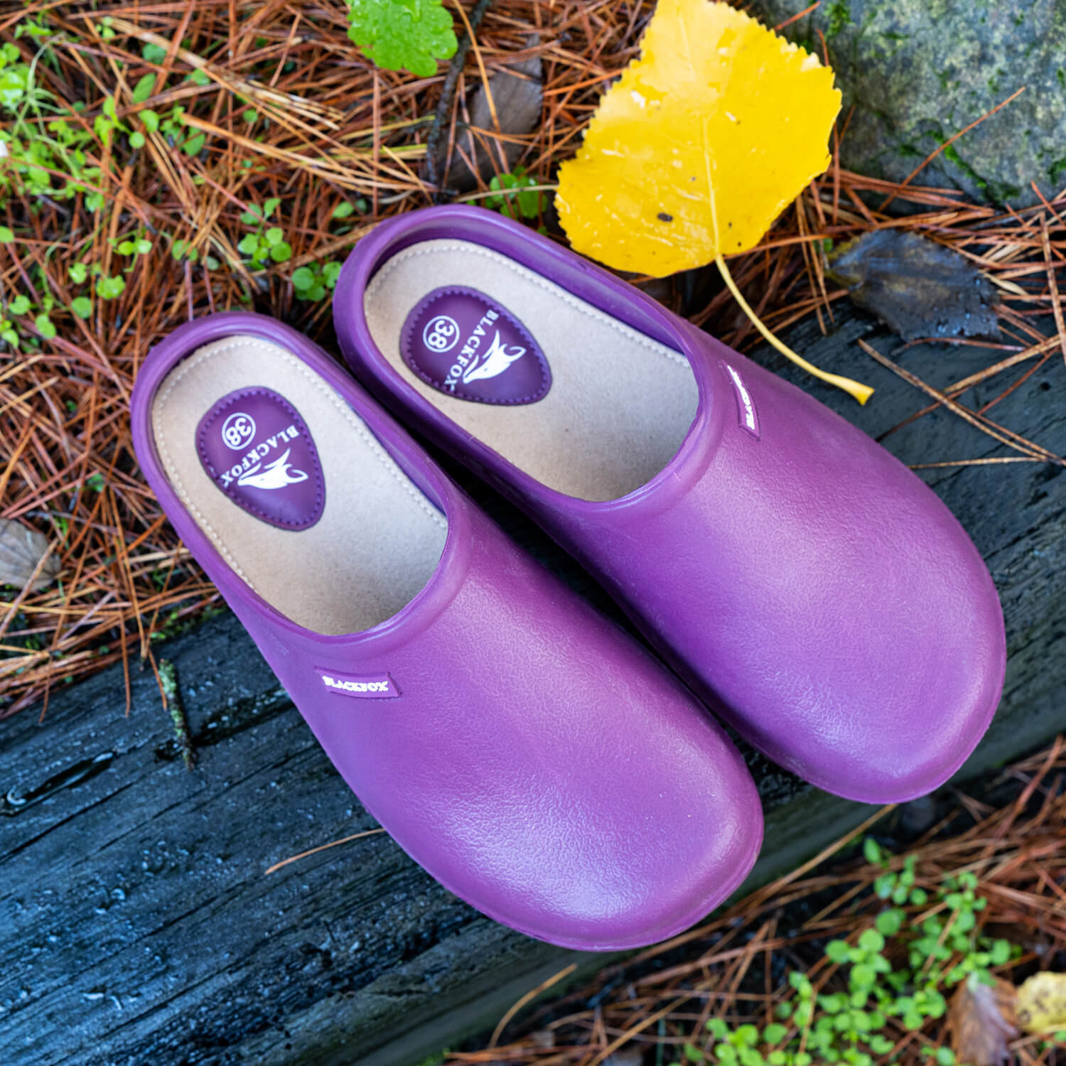 Blackfox crocs store