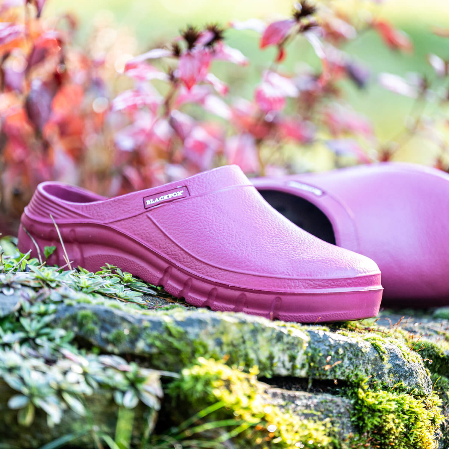 Blackfox clog online