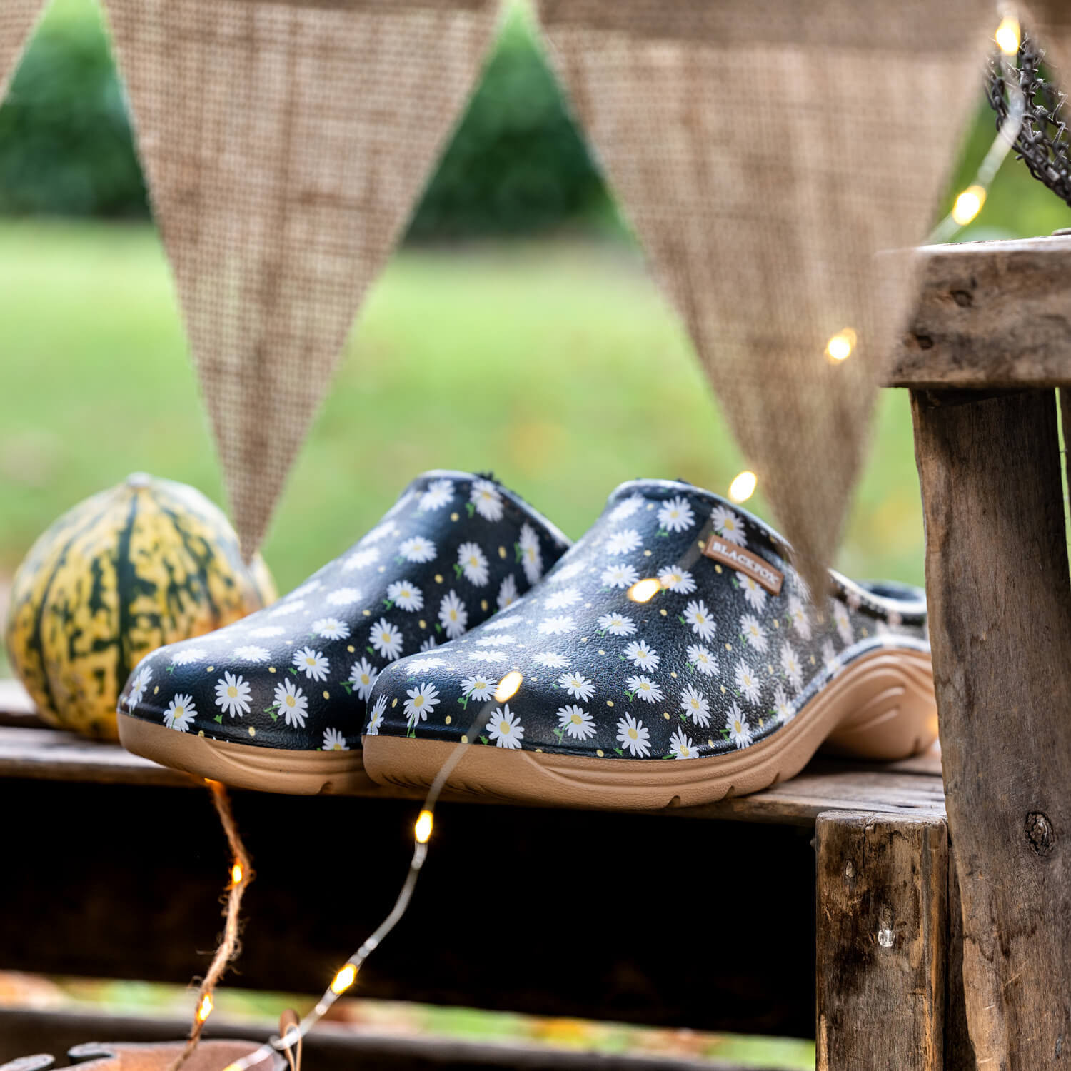 Blackfox clog online
