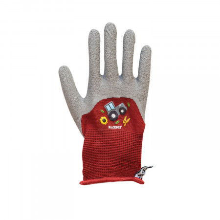 glove Robin