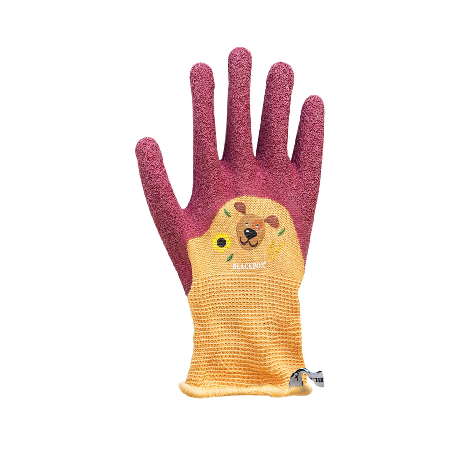 glove Robin
