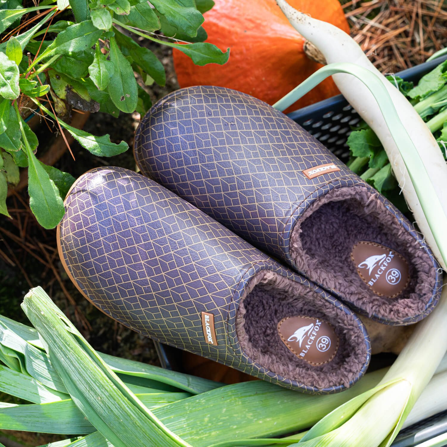 Blackfox clog online