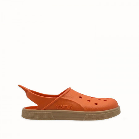 Clog Cloggy