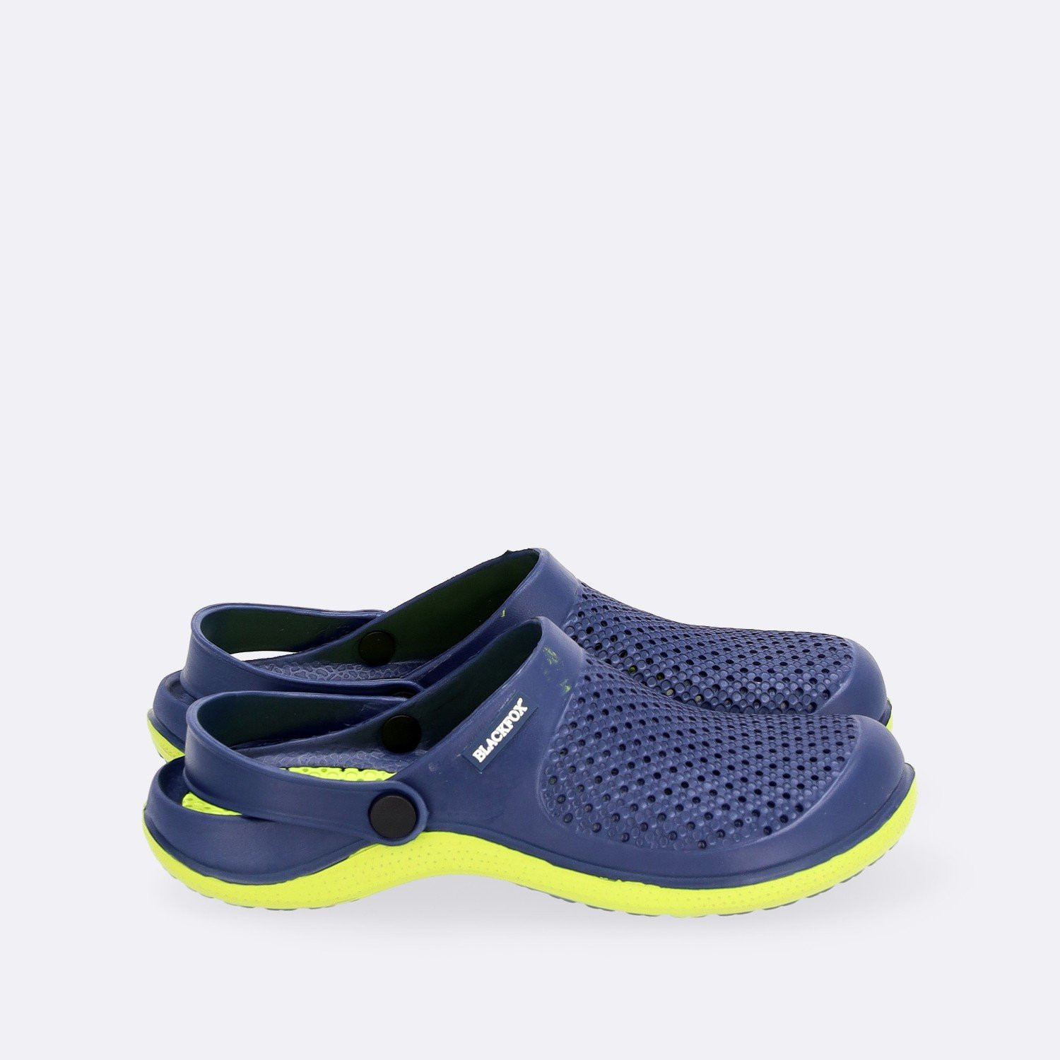 a3330000 bleuanis b2c 1