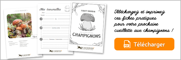 telechargement fiches pratiques champignons